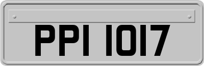 PPI1017
