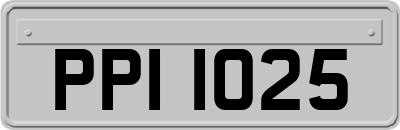 PPI1025
