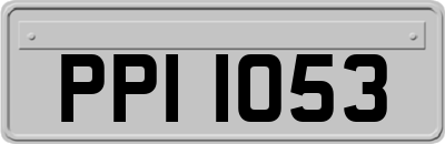 PPI1053