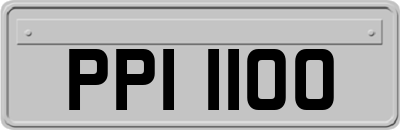 PPI1100