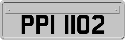 PPI1102