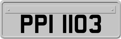 PPI1103