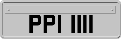 PPI1111