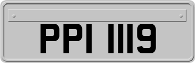 PPI1119