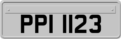 PPI1123