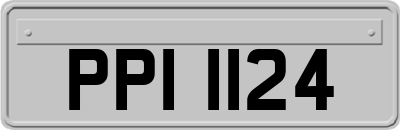 PPI1124