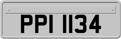 PPI1134