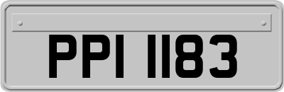 PPI1183