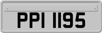 PPI1195
