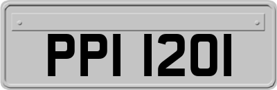 PPI1201