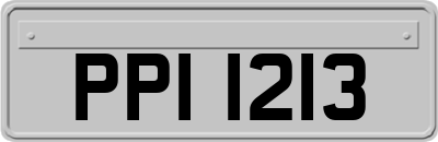 PPI1213