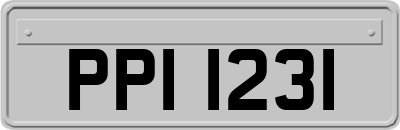 PPI1231