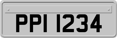 PPI1234