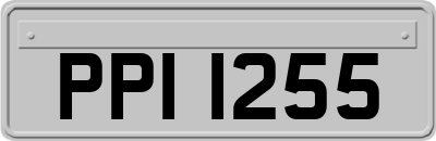 PPI1255