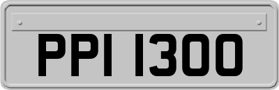 PPI1300