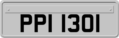 PPI1301