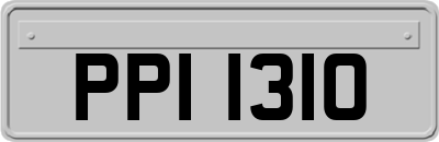 PPI1310