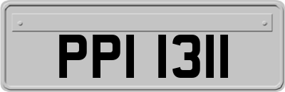 PPI1311