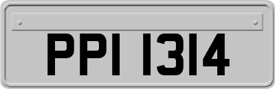 PPI1314