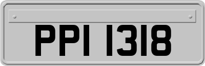 PPI1318