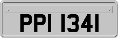 PPI1341