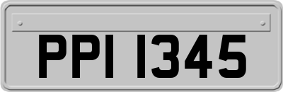 PPI1345