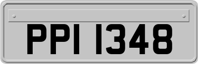 PPI1348