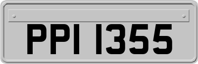 PPI1355