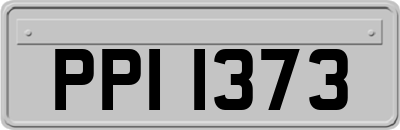 PPI1373