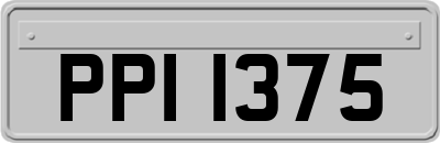 PPI1375