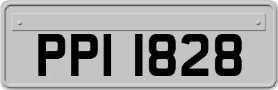 PPI1828