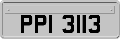PPI3113