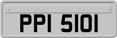 PPI5101