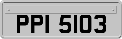 PPI5103