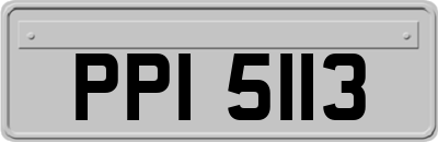 PPI5113