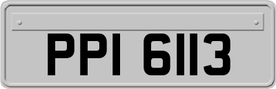 PPI6113