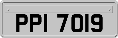 PPI7019