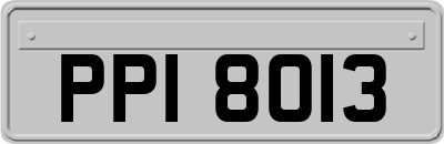 PPI8013