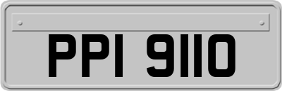 PPI9110