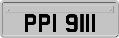 PPI9111