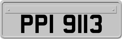 PPI9113