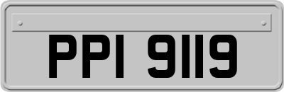 PPI9119