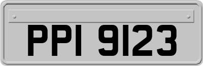 PPI9123