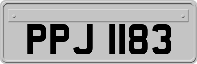 PPJ1183