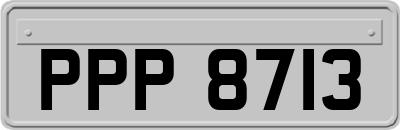 PPP8713