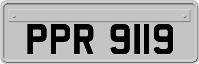PPR9119