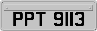 PPT9113