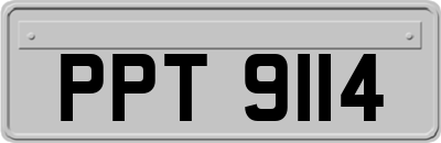 PPT9114