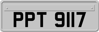 PPT9117