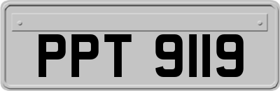 PPT9119